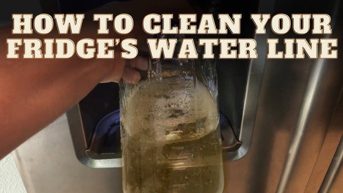 How to Clean Refrigerator Water Dispenser for Fresh, Pure Water