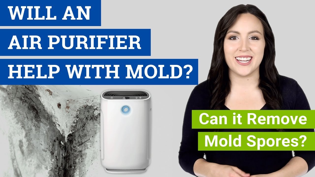 Do Air Purifiers Help With Mold: Unveiling the Truth