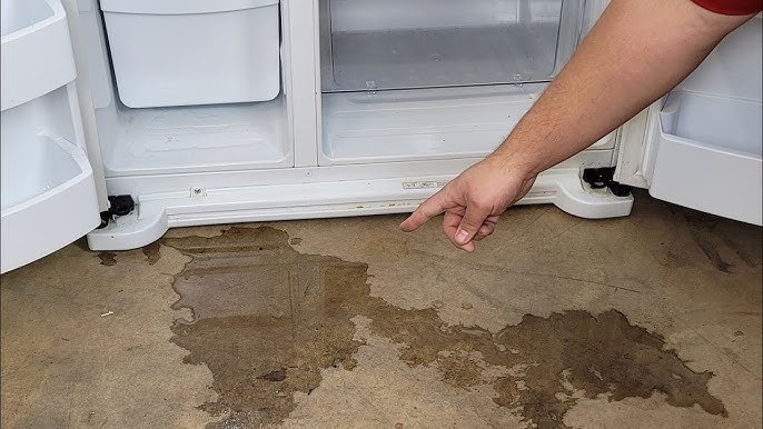 How to Fix Water Leaking from Bottom of Refrigerator: Easy Guide