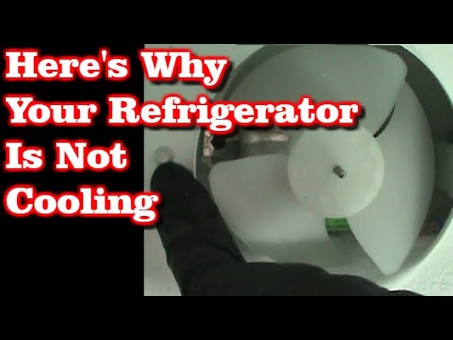 Why is My Refrigerator Not Cooling But Freezer is Working?