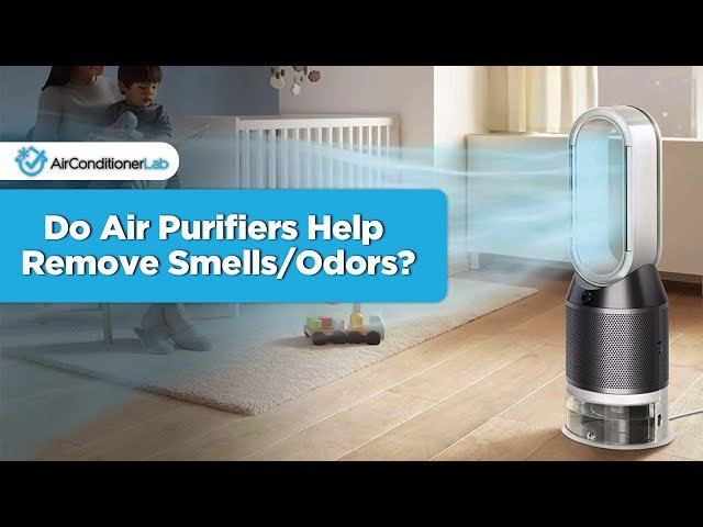 Will an Air Purifier Help With Smell? Discover the Truth