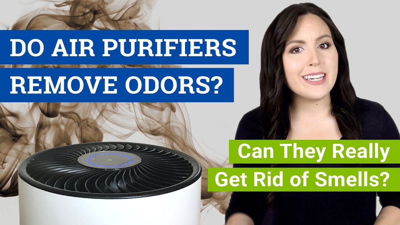 Will an Air Purifier Help With Smell? Discover the Truth
