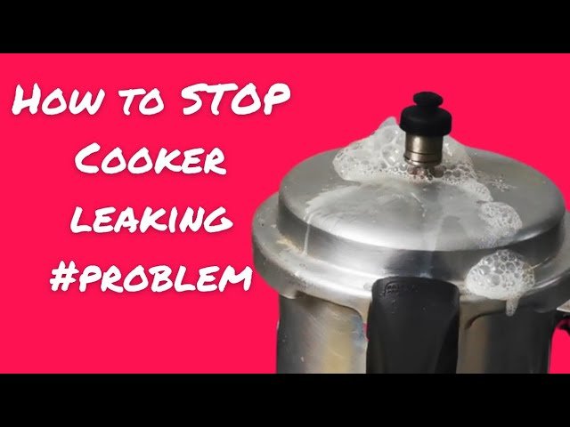 Why Does My Pressure Cooker Leak? Common Causes and Fixes