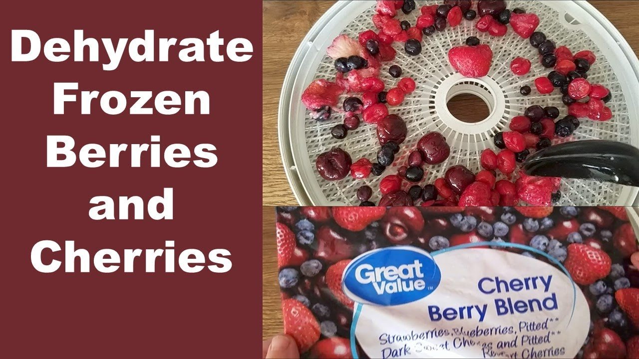 Can You Dehydrate Frozen Fruit in a Food Dehydrator? Expert Guide