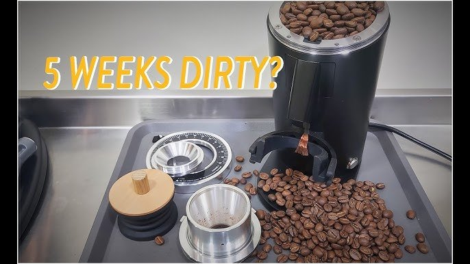 How Often Should You Clean a Coffee Grinder for Best Flavor?