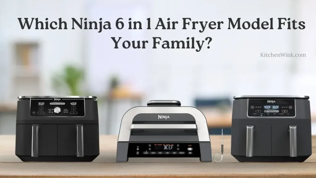 Ninja 6 in 1 Air Fryer Review