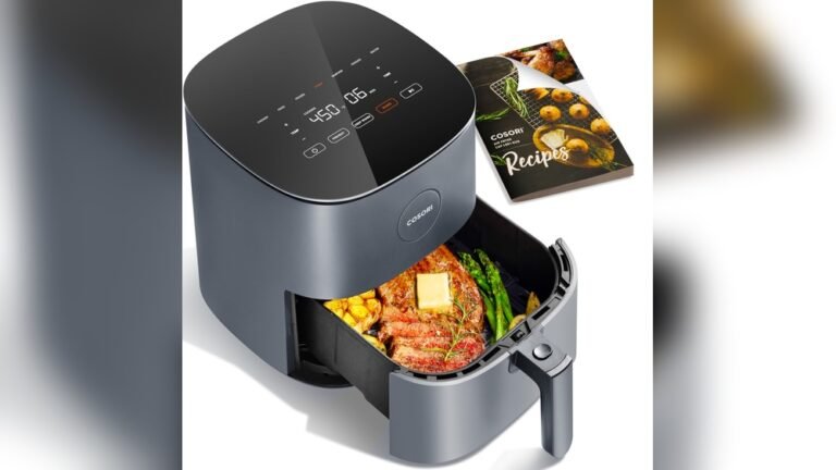 Which is the Best Cosori Air Fryer