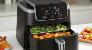 Air Fryer With Dehydrator