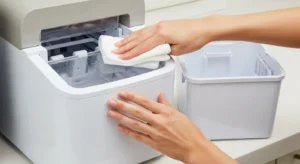 How to Prevent Mold in Ice Maker