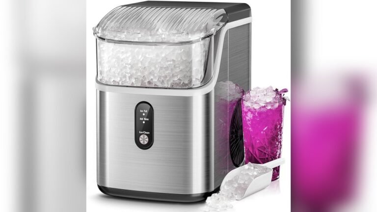 Are Ice Makers Safe to Use Daily