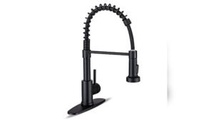 Best Kitchen Faucet for Large Sink