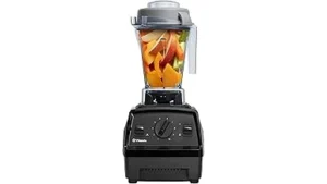 Best Vitamix Blender for Home Use