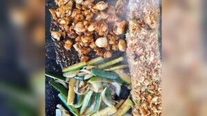 How to Make Hibachi at Home on Griddle