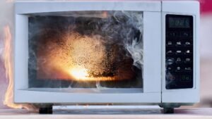 Microwave Oven Smells Like Burning