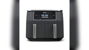 Ninja Dz201 Vs Dz550