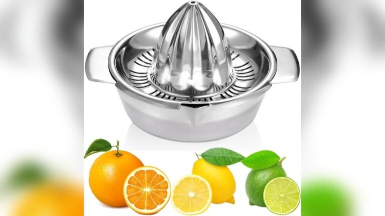 Are Stainless Steel Juicers Safer Than Plastic
