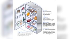 Best Way to Store Meat in Fridge