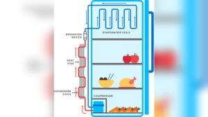 How Does a Refrigerator Work