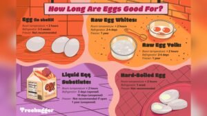 How Long Do Eggs Last in the Refrigerator
