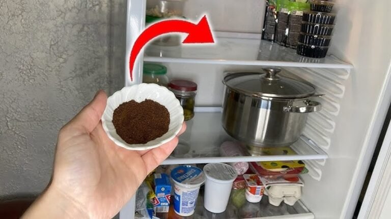 How to Get Rid of Bad Smells in Fridge