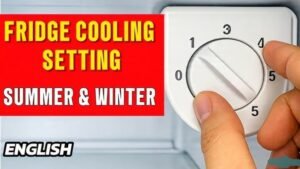 How to Increase Fridge Cooling in Summer