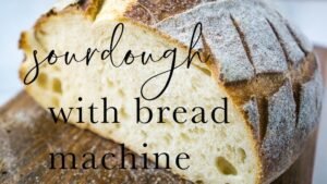 How to Make Sourdough in a Bread Maker