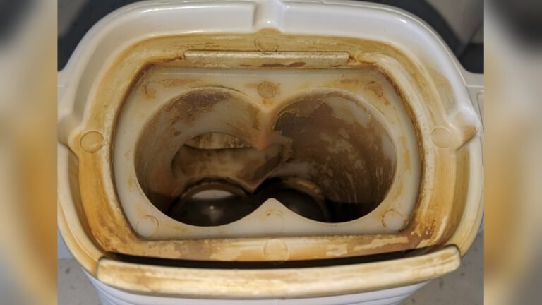 How to Remove Juicer Stains from Plastic Parts