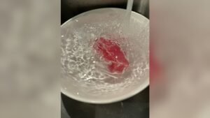 How to Thaw Vacuum Sealed Fish