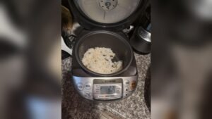 Is It Safe to Leave Rice Cooker on Warm Overnight