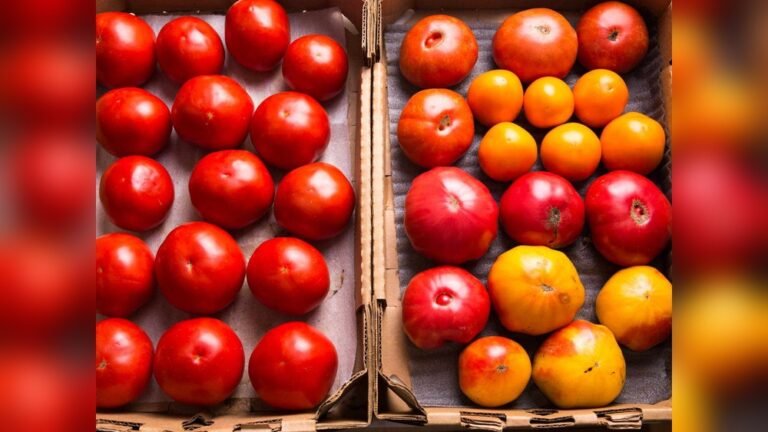 Should You Refrigerate Tomatoes​