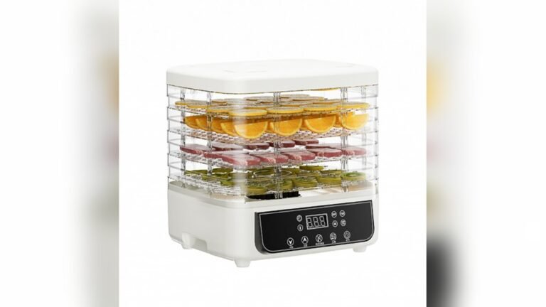 Are Food Dehydrators Energy Efficient