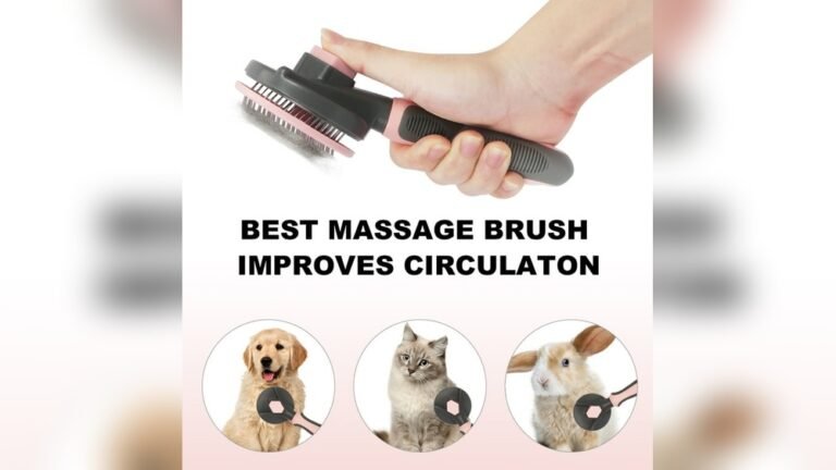 Best Mopping Technique for Pet Hair Removal