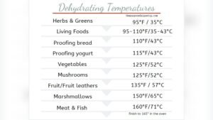 Best Temperature for Dehydrating Fruit