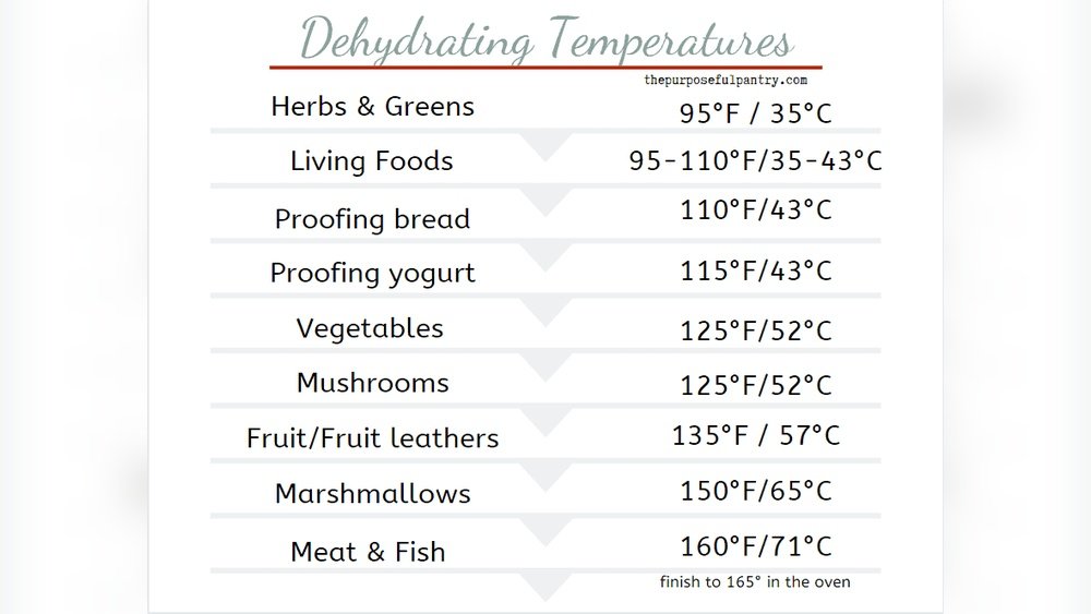 Best Temperature for Dehydrating Fruit