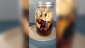 Can You Dehydrate Frozen Fruit in a Food Dehydrator
