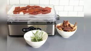 Can You Stop And Restart a Dehydrator
