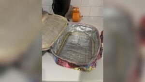 Can You Wash a Lunch Box in the Washing Machine