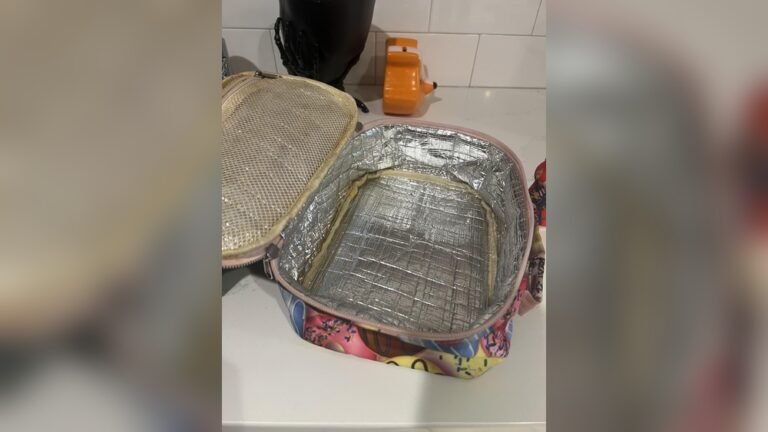 Can You Wash a Lunch Box in the Washing Machine