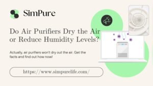 Do Air Purifiers Make the Air Dry