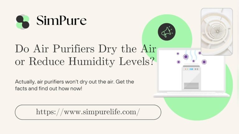 Do Air Purifiers Make the Air Dry