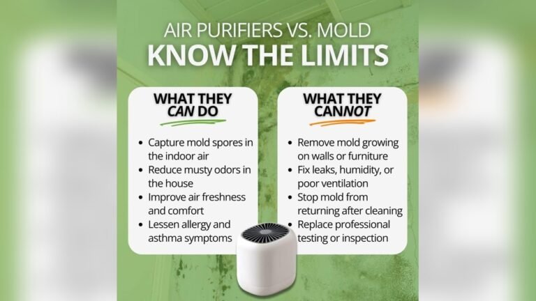 Do Air Purifiers Remove Mold Spores