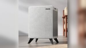 Do Air Purifiers Remove Pet Dander