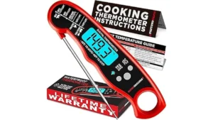 Best Meat Thermometers for Brisket