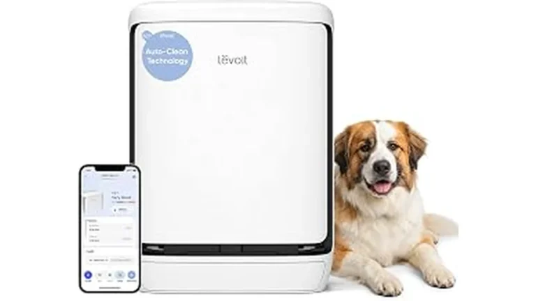 Best Air Purifiers for Home