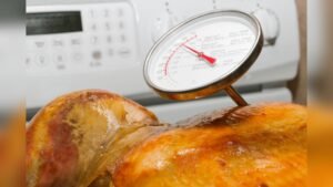 Food Thermometer Vs Meat Thermometer