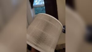 How Often to Change Air Purifier Filter