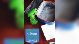 How to Clean a Lunch Box