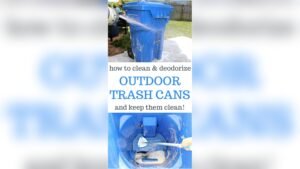 How to Clean Trash Can