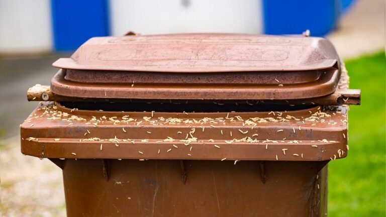 How to Get Rid of Maggots in Trash Can