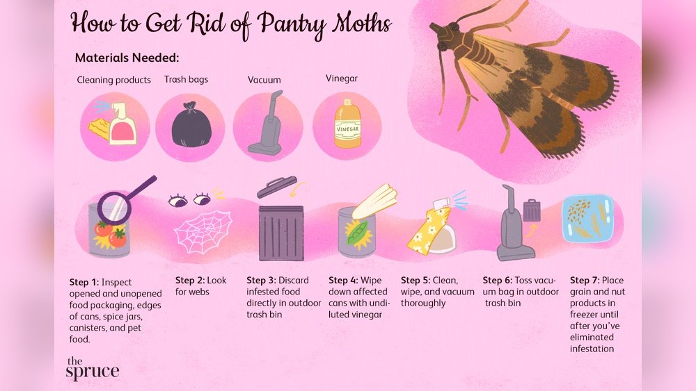 How to Get Rid of Moths in the Kitchen